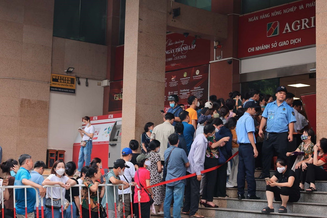 ttxvn_0107_xep hang mua vang (2).jpg