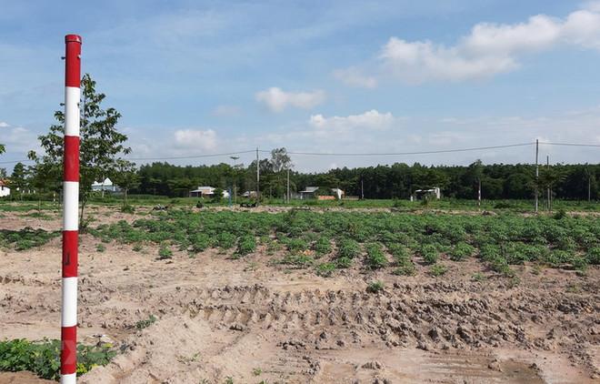 Hoàn tất kết luận điều tra Công ty Alibaba lừa đảo chiếm đoạt tài sản ảnh 1