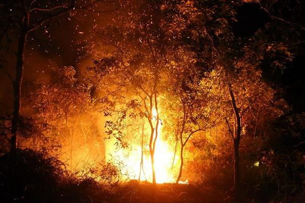 Hiện trường đám cháy tại xã Noong Luống (ảnh chụp lúc 23 giờ ngày 14/5). (Ảnh: Phan Tuấn Anh/TTXVN) Cháy rừng trong đêm ở Điện Biên, hàng trăm người dập lửa ảnh 1