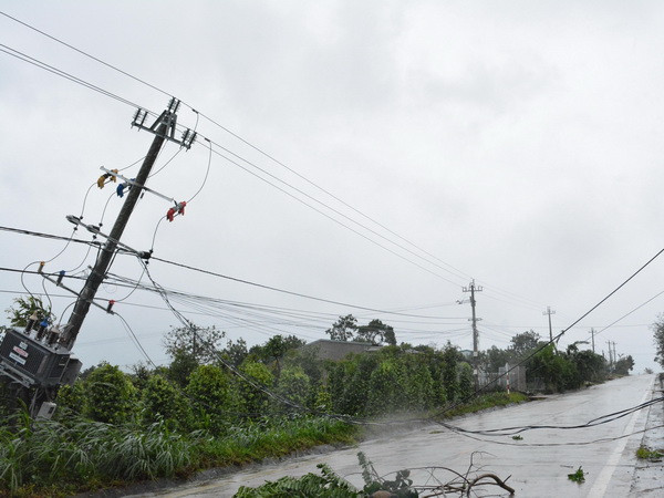 EVN đã khôi phục hoàn toàn lưới điện truyền tải 200kV và 500kV ảnh 1