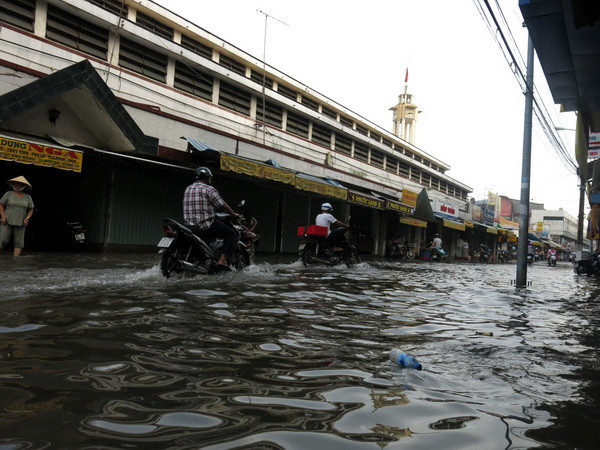 Triều cường dâng cao gây ngập lụt, vỡ đê ở Cần Thơ và Sóc Trăng ảnh 1