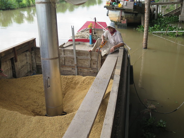 Xuất khẩu gạo của Việt Nam lại rơi vào vòng xoáy trầm lắng ảnh 1