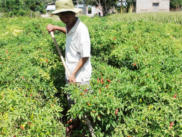 Hải Phòng: Cách chức Chủ tịch, Phó Chủ tịch UBND xã Việt Tiến ảnh 1