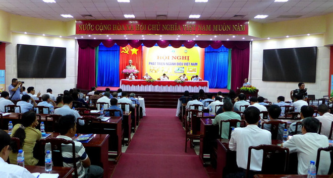 Việt Nam cần nâng cao ngành công nghiệp chế biến điều ảnh 1