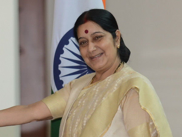 Ấn Độ bày tỏ quan ngại về việc Mỹ bán vũ khí cho Pakistan ảnh 1