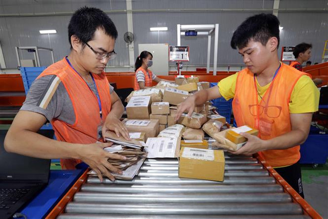 Phân loại hoàng hóa của hãng thương mại điện tử Lazada. (Ảnh: Trần Việt/TTXVN) Dịch COVID-19: Mua sắm trực tuyến ''lên ngôi'' dịp cận Tết ảnh 1