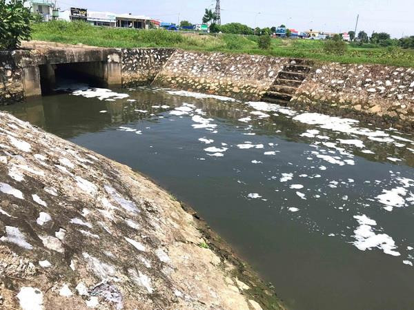 Con người đang phải trả giá đắt khi hủy hoại môi trường ảnh 1