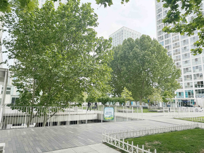 ttxvn_0705_bac kinh (2).jpg