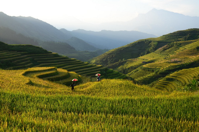 Du khách đến Sa Pa dịp nghỉ lễ Quốc khánh 2/9 tăng gấp hơn hai lần ảnh 1