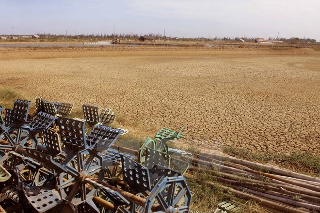 Chống hạn ở Đồng bằng sông Cửu Long: Cả hệ thống chính trị vào cuộc ảnh 1