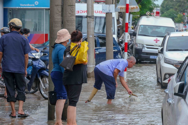Cần Thơ và TP.HCM: Mưa lớn, triều cường làm nhiều tuyến phố ngập sâu ảnh 2