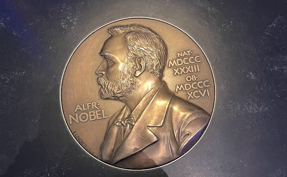 Nhà khoa học Alfred Nobel, “cha đẻ” của giải thưởng Nobel danh giá ảnh 1