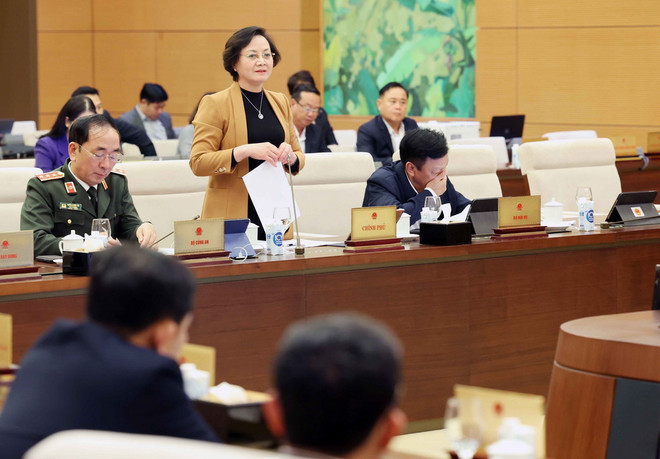 ttxvn_ba Pham thi Thanh Tra.jpg