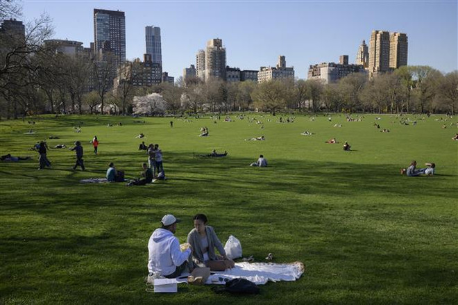 Người dân thư giãn tại khu Central Park ở New York, Mỹ. (Ảnh: AFP/TTXVN) Mỹ: Bang New York lên kế hoạch dỡ bỏ tất cả biện pháp hạn chế ảnh 1