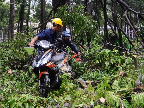 Đêm nay các tỉnh, thành phố trên cả nước mưa dông diện rộng ảnh 1