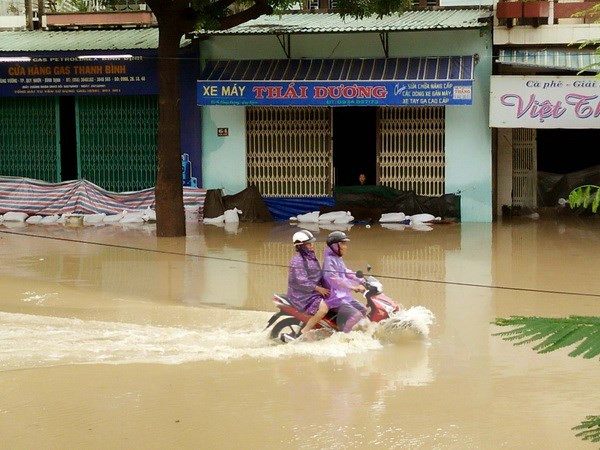 Mưa lũ gây thiệt hại nặng nề ở 2 tỉnh Bình Định và Đắk Lắk ảnh 1