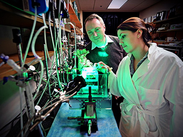 Màng điện tử 3D chống nguy cơ đột quỵ do bệnh tim ảnh 1