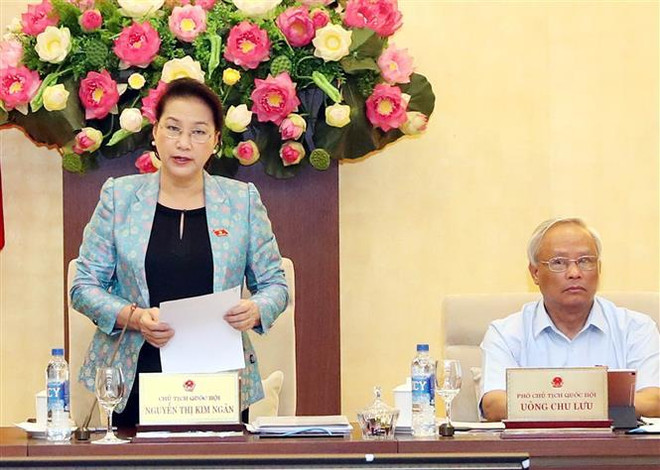 Đề nghị giữ nguyên hai Phó Chủ tịch Hội đồng Nhân dân cấp tỉnh ảnh 2