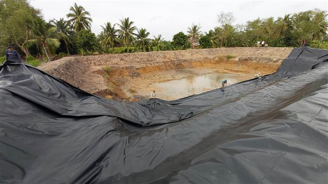 Đề phòng xâm nhập mặn các tỉnh Đồng bằng sông Cửu Long tăng cao ảnh 1