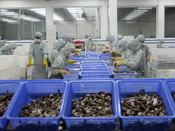 Mở rộng cấp chứng thư điện tử cho lô hàng thủy sản xuất khẩu ảnh 1