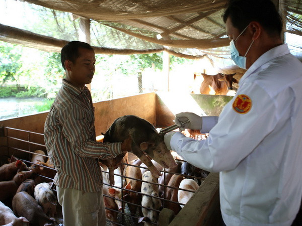 Cảnh báo nguy cơ bùng phát dịch bệnh trên gia súc, gia cầm ảnh 1