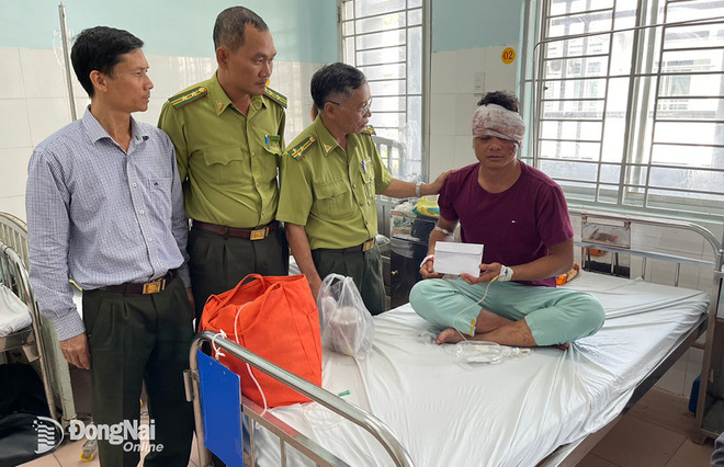 Đồng Nai: Truy bắt các nghi can chém trọng thương ba kiểm lâm ảnh 1