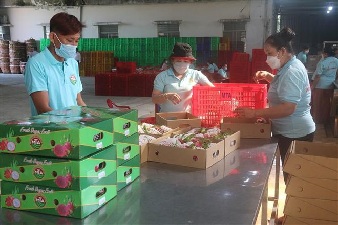 Xây dựng thương hiệu cho nông sản Việt tại Trung Quốc ảnh 2