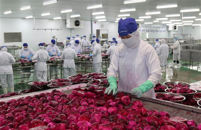 Hiệp định EVFTA: Cú huých cho xuất khẩu của Việt Nam ảnh 2