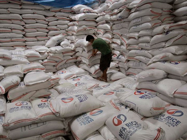 Phillipines bác toàn bộ hồ sơ dự thầu nhập khẩu 500.000 tấn gạo ảnh 1