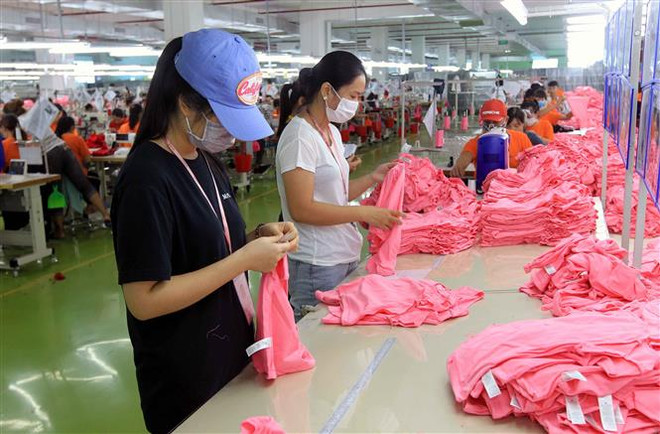 'Việt Nam có tiềm năng trở thành một công xưởng của thế giới' ảnh 2