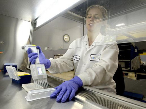 Một nhà nghiên cứu của Hãng dược phẩm Corgenix đang xét nghiệm virus Ebola. (Nguồn: Daily Camera) WHO chấp thuận xét nghiệm nhanh đầu tiên phát hiện virus Ebola ảnh 1