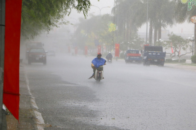 Phú Yên: "Cơn mưa vàng" diện rộng, cứu hàng nghìn hecta cây ảnh 1