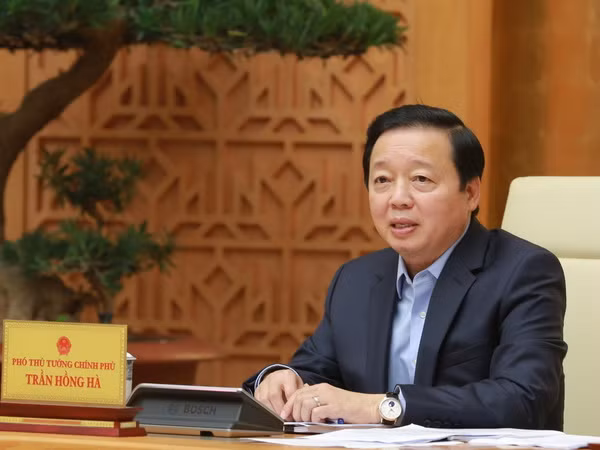 Kiện toàn thành viên của Ủy ban Quốc gia về chuyển đổi số ảnh 1