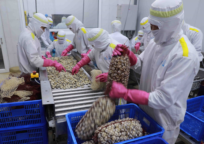 ttxvn_che bien thuy san.jpg