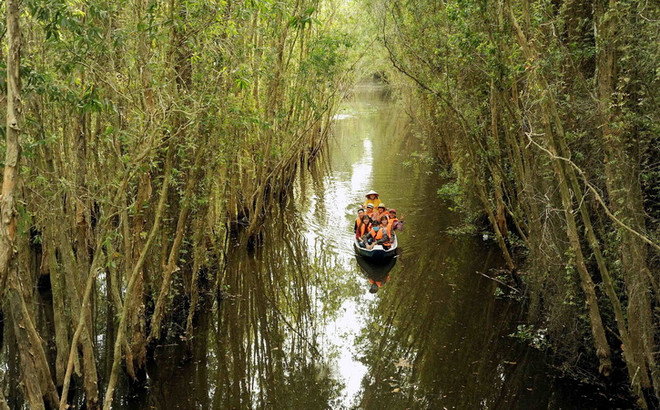 Công bố điều chỉnh quy hoạch xây dựng vùng Đồng bằng sông Cửu Long ảnh 1