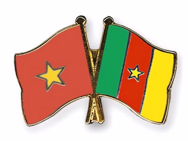 Tăng cường quan hệ hợp tác giữa Việt Nam và Cameroon ảnh 1