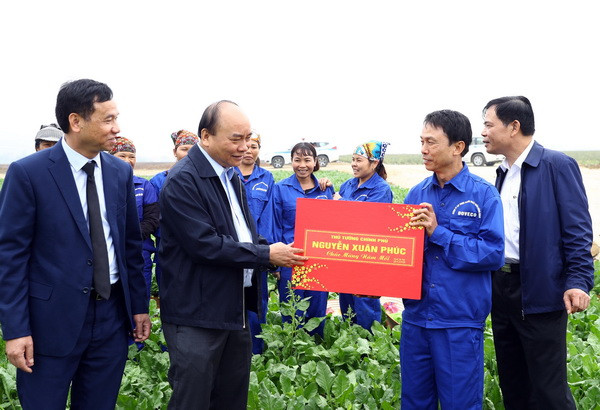 Áp dụng mạnh mẽ khoa học và công nghệ vào sản xuất nông nghiệp ảnh 2