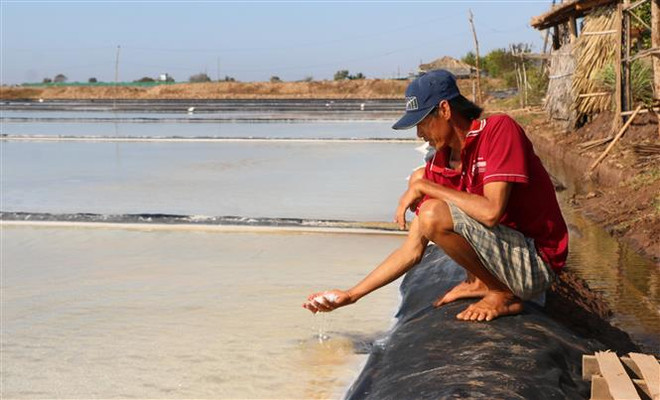 Thời tiết âm u, ít nắng nên không đủ độ nóng làm muối chậm kết tinh. (Ảnh: Tuấn Kiệt/TTXVN) Diêm dân Bạc Liêu thấp thỏm bước vào vụ muối mới ảnh 2