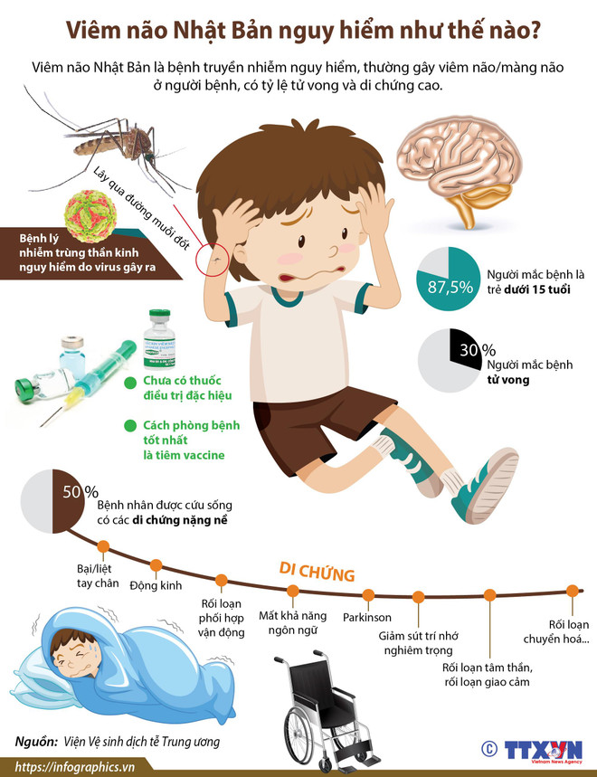 [Infographics] Viêm não Nhật Bản nguy hiểm như thế nào? ảnh 1