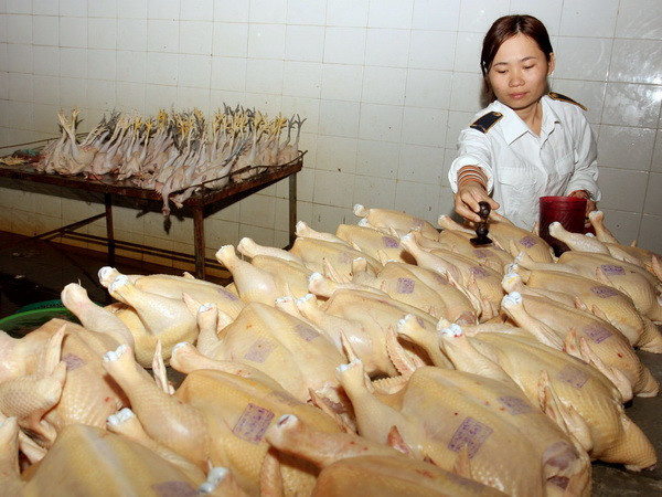 Còn nhiều sai phạm trong quản lý an toàn thực phẩm ảnh 1