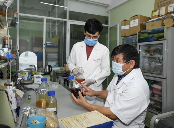 Vận dụng tối đa quy định để cấp phép lưu hành thuốc điều trị COVID-19 ảnh 1