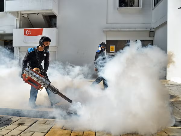 Singapore xác nhận thêm 2 trường hợp nhiễm virus Zika trong nước ảnh 1