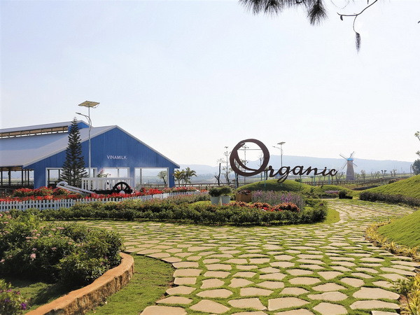 Vinamilk 6 năm liền lọt vào top "50 công ty kinh doanh hiệu quả nhất" ảnh 2