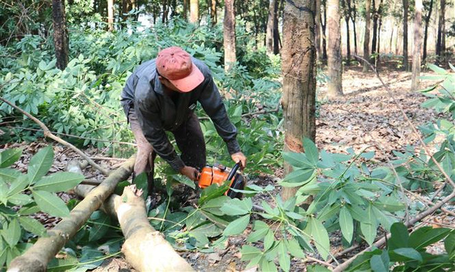 Bình Phước: Người dân hiến hàng ngàn m2 đất làm đường giao thông ảnh 1