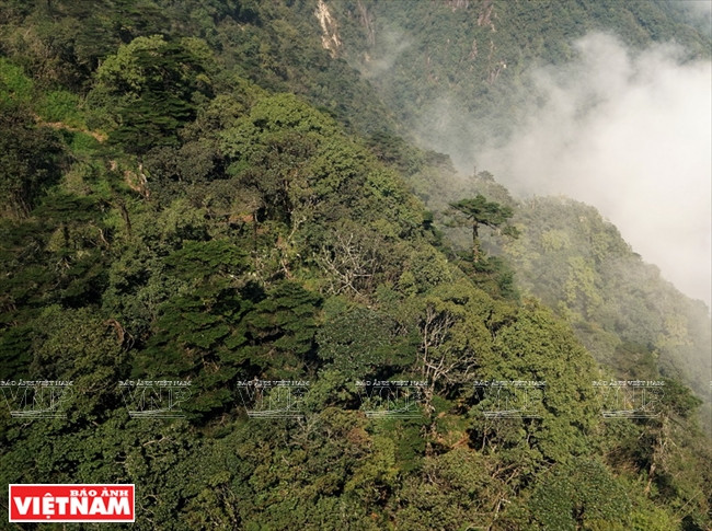 Lên đỉnh Fansipan - Niềm khao khát của du khách mê khám phá ảnh 10