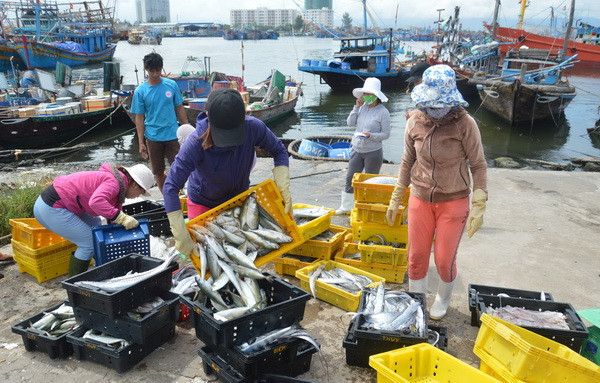 Giá trị xuất khẩu thủy sản trong 10 tháng ước đạt 6,73 tỷ USD ảnh 1