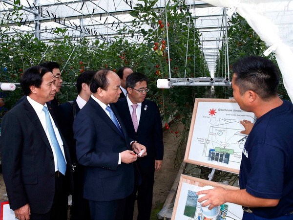 Doanh nghiệp Việt Nam mở rộng đầu tư, kinh doanh sang Nhật Bản ảnh 1