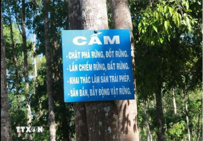 Bảng cấm vào phá rừng, săn bắn động vật hoang dã, đốt lửa trong rừng được gắn tại các khu rừng. (Ảnh: TTXVN phát) trong rung.JPG