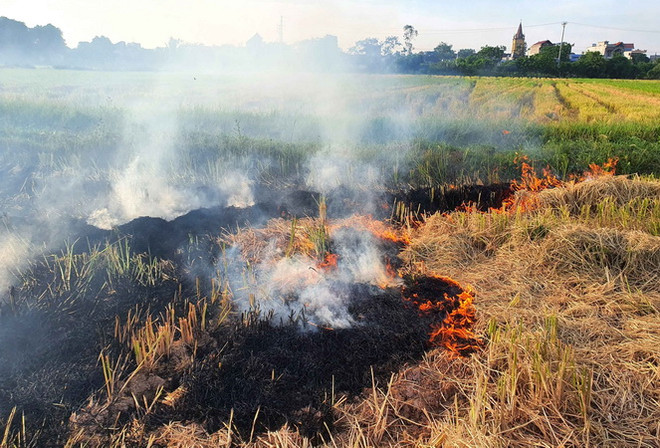 Kiểm soát chặt việc đốt rơm rạ, chất thải rắn không đúng quy định ảnh 1