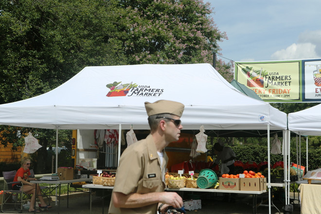 Thực phẩm sạch qua góc nhìn 'Trang trại đến Bàn ăn' của người Mỹ ảnh 11